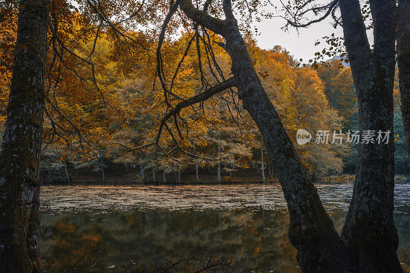 Yedigoller国家公园位于土耳其的mengen bolu